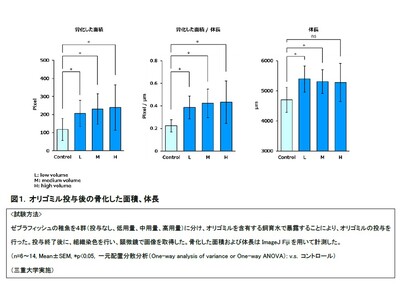 ロート独自素材のミルクペプチドが成長期の骨を成長させる・赤血球を増やすことを発見！