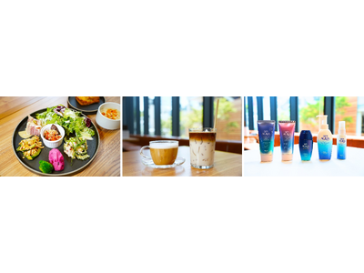 カフェ＆レストラン「ロートレシピ」が「UVケアステーション」に!?カラダの内・外の両面からの紫外線対策が大切