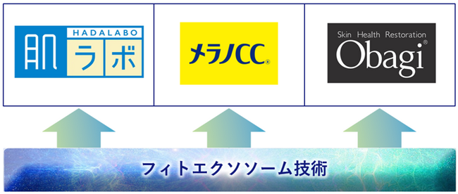 細胞研究を基盤に、「ロンジェビティ」サイエンスの社会実装を加速