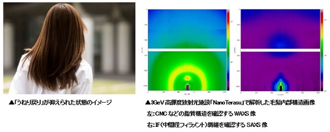 朝整えた髪が、日中またうねる。日光による毛髪内部CMCダメージに着目　…