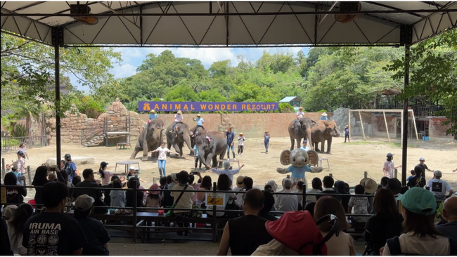 市原ぞうの国に音楽の力を　Music Withがオリジナルソング「ぞうさんと一緒に」を制作