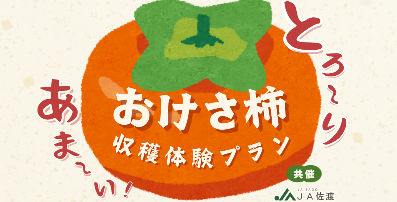【佐渡汽船】JA佐渡と連携した「おけさ柿　収穫体験プラン」発売