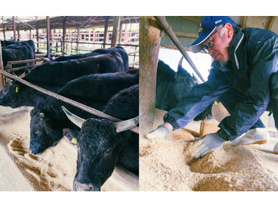 福島牛・新ブランド「福粕花」とは？“新たな挑戦”の現場を訪ねて