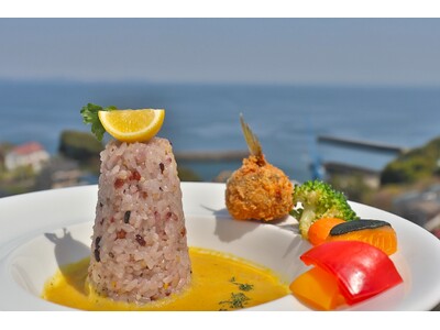 【HOTEL FARO manazuru】～灯台のように、旅の記憶に残る味を～『FARO特製 柑橘香るレモンカレー～真鶴産鰺フライを添えて～』2025年5月1日提供開始！