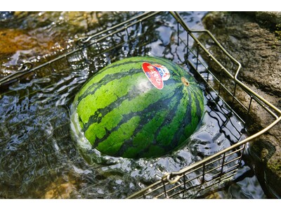 【愛知県岡崎市】宿泊・BBQのお客様だけの夏の特典、「手ぶらスイカ割り」2026年シーズン開催中