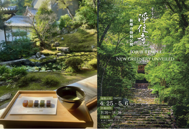 【土日祝限定】京都「浄住寺」新緑の特別公開にて、京菓匠「鶴屋吉信」の和菓子をご提供いたします。