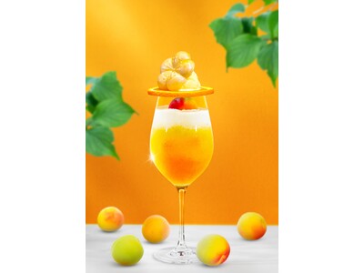 梅酒カクテル専門店「The CHOYA（ザ チョーヤ）銀座BAR」完熟梅シロップに完熟梅のフルーツ氷、完熟梅のコンポートと完熟梅づくし！梅酒カクテルクリームソーダ「完熟梅リッチ」を新発売！