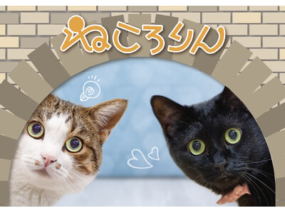 猫好き集まれ！愛眼の「ねころりん」メガネに公式キャラクター登場！メインクーンモデルも登場。
