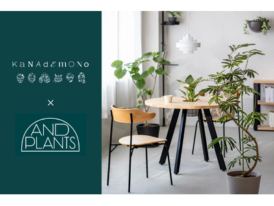 KANADEMONO�b�����ɍ����O���[�����K��������B�p�[�\�i���C�Y�Ƌ�u�����h���uAND PLANTS�v�Ƌ��Ƃ��A�C���e���A�N�_�̃R�[�f�B�l�[�g��Ă��J�n