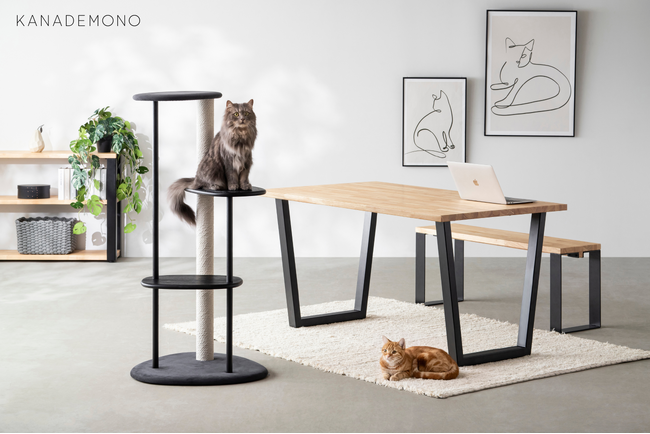 KANADEMONO別注カラー「KARIMOKU CAT TREE」を発売開始。ブラック＆グレインマットブラックで、美しい暮らしを猫とともに。【Nekodamono】
