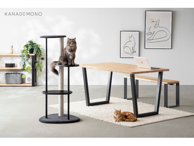 KANADEMONO別注カラー「KARIMOKU CAT TREE」を発売開始。ブラック&グレインマット...