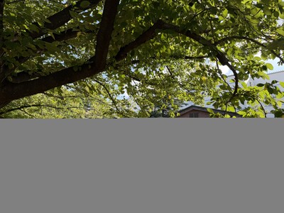 創業109年の大泉工場、地元川口の「第46回たたら祭り」限定スイーツや自社醸造コンブチャなど全6品を500円で販売