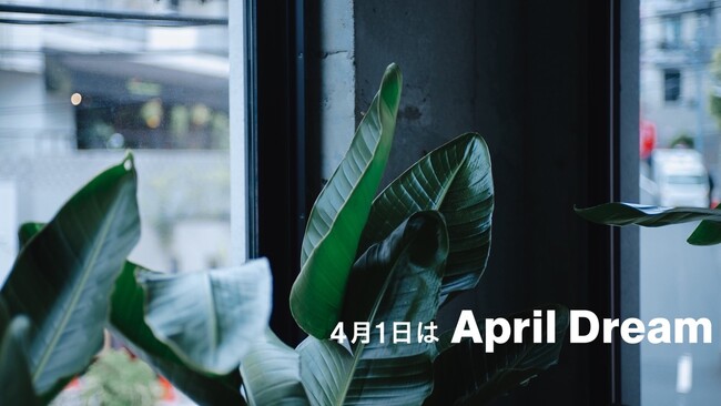 プレスリリース「カフェやバーを“現代の茶室”として未来へ継承する」のイメージ画像