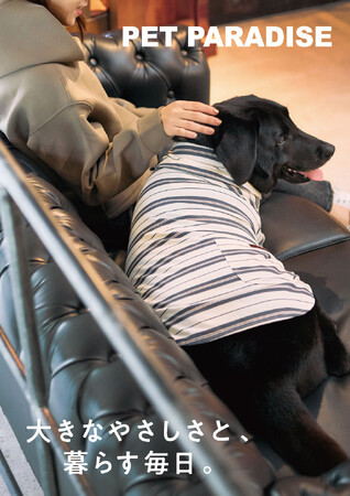 『ペットパラダイス』2025年秋冬から中大型犬向け商品ラインアップを拡充