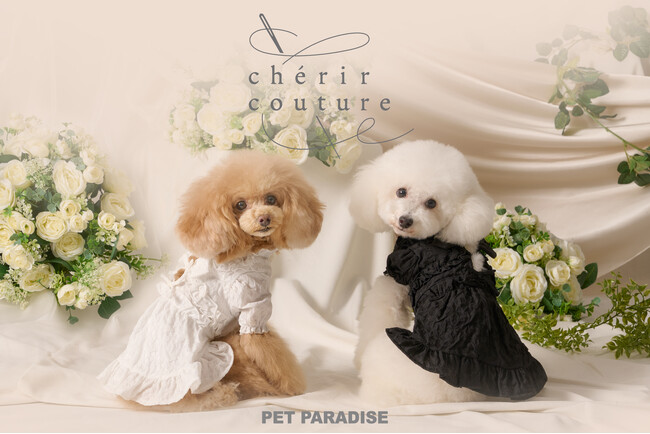 “愛しい大切な子に特別な一着を”　　「ペットパラダイス」のプレステージライン『cherircouture』2025年春コレクションを発売