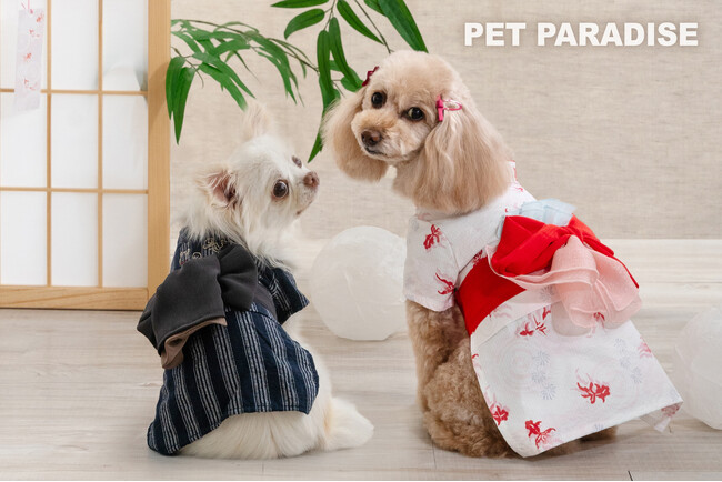 『ペットパラダイス』ペット用「浴衣・法被・じんべえ」シリーズインバウンドのお客さまを中心に人気を集め好調に推移