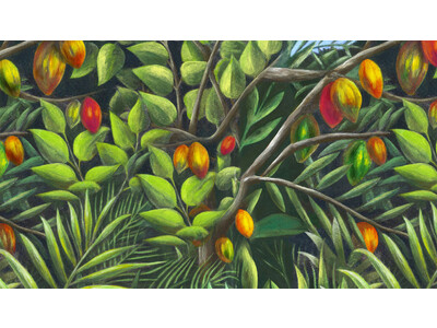 スペイン最高級のチョコレートブランドCACAO SAMPAKA期間限定ストアをバーニーズ　ニューヨークで初開催