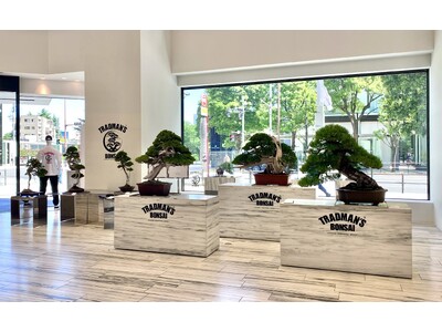 「TRADMAN’S BONSAI」がバーニーズ　ニューヨーク銀座本店でポップアップイベントを開催！ポップアップスペースとウィンドウディスプレイにて、盆栽を”生きたアート”として提案。