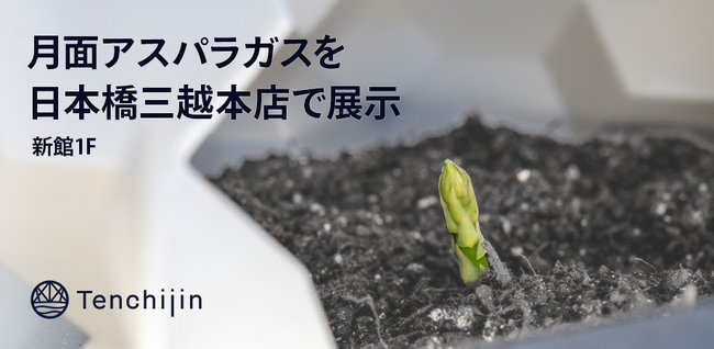 JAXAベンチャー天地人、月面でのアスパラガス栽培を目指す「月面アスパラガス」を日本橋三越本店の新館1階で展示へ。