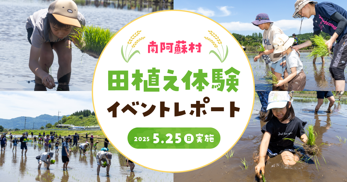 【イベントレポート】人気ご当地タレント高村公平さんや南阿蘇村村長も参加！『南阿蘇村 田植え体験イベント2025』開催！