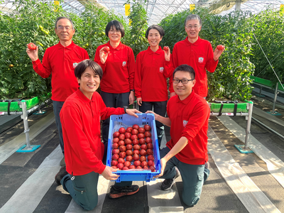 オリジナル商品 「さやまるプロジェクトの朝採り完熟トマト」の販売開始