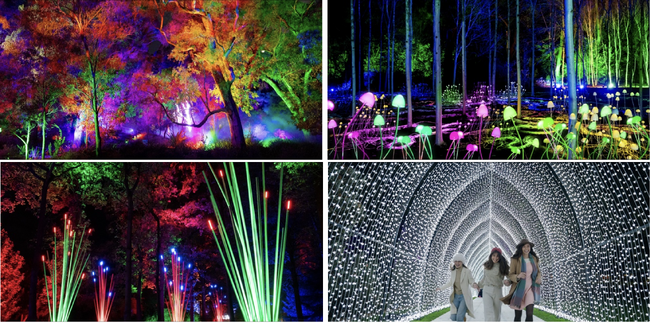 【西オーストラリア】州都「パース」の広大な都市公園「キングスパーク」を光のアートが彩る没入型イベント『ライトスケープ 2026』6月5日(金)から開催