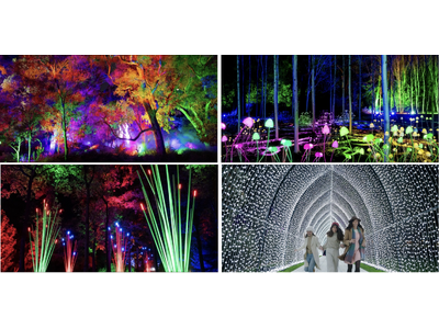 【西オーストラリア】州都「パース」の広大な都市公園「キングスパーク」を光のアートが彩る没入型イベント『ライトスケープ 2026』6月5日(金)から開催