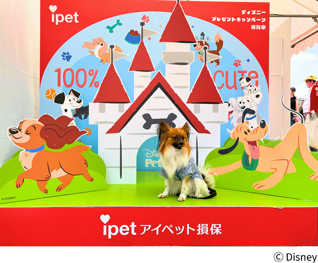 プレスリリース「アイペット損保、ディズニーデザインのフォトスポットで1,000名超を動員！」のイメージ画像
