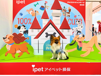 アイペット損保、ディズニーデザインのフォトスポットで1,000名超を動員!