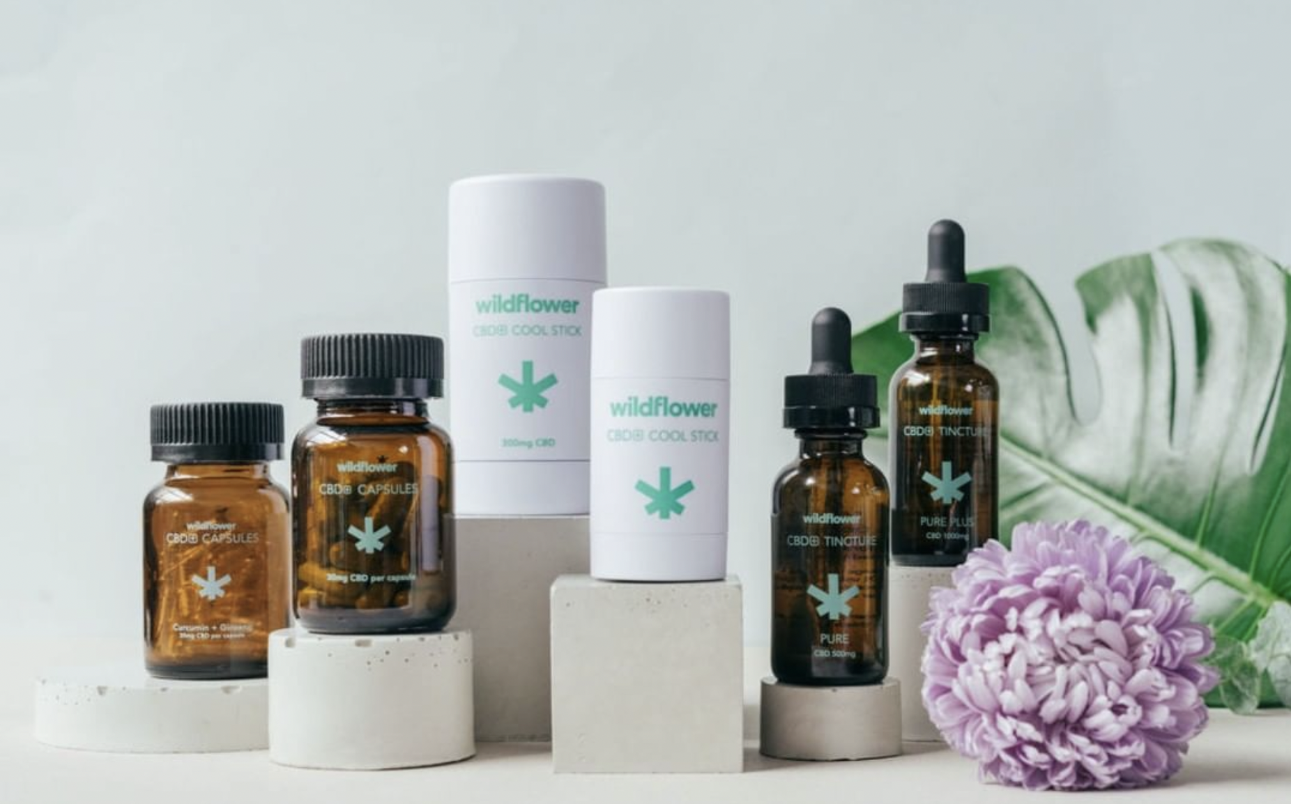 【日本初上陸】世界31カ国で展開されるカナダ発のCBDブランドWildflower Brands社と日本国内での総代理店契約を合意。