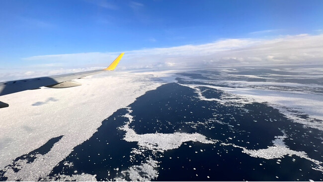 FDA　チャーター便の運航情報について（2025年11月11日現在）