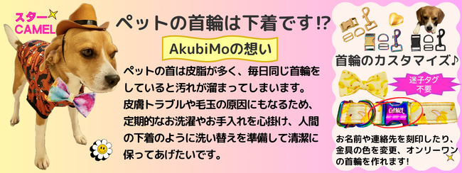 ペットの首輪は下着です!?～我がペットを可愛く幸せにしたい！を実現～AkubiMo(あくび~も) が第14回ウーマンズビジネスグランプリ2025 in品川ファイナリストに選出されビジネスプランを発表