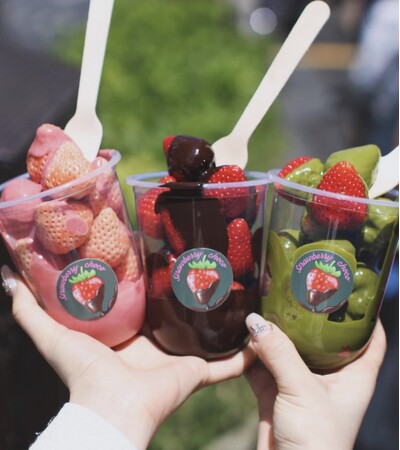 【新潟初上陸】究極の苺スイーツ。ストロベリーチョコ 専門店「Strawberry choco」がイオンモール新潟亀田インターに2026年2月1日（日）～2026年2月28日（土）の期間限定販売！