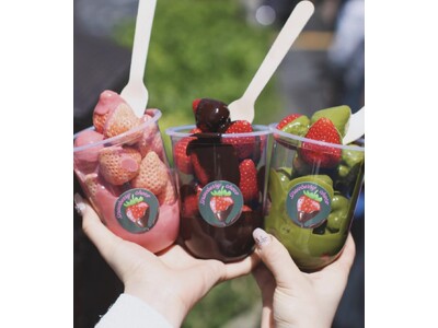 【新潟初上陸】究極の苺スイーツ。ストロベリーチョコ 専門店「Strawberry choco」がイオンモール新潟亀田インターに2026年2月1日（日）～2026年2月28日（土）の期間限定販売！