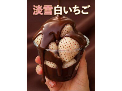 【初】舞浜イクスピアリで白いイチゴにチョコをどっぷり！2026年2月11日～2026年2月28日　原宿発...
