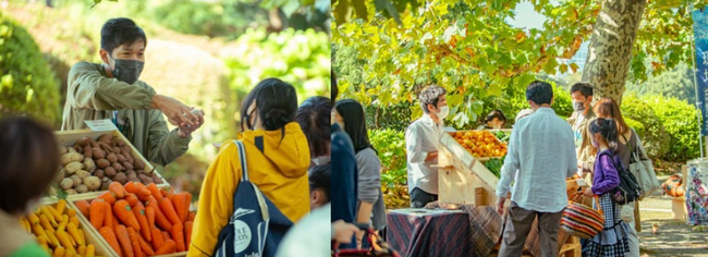 国立公園周辺産地より 規格外野菜があつまるマルシェ開催