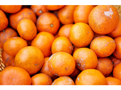 規格外みかんのドライフルーツ「ジャクリ・オレンジ」で食品ロス削減