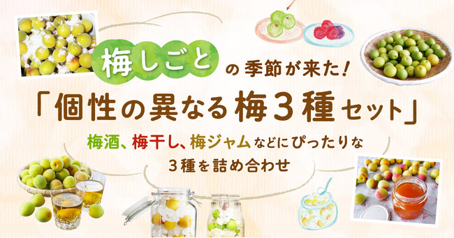 ポケットマルシェが梅しごとを楽しむ「個性の異なる梅3種セット」の販売を開始 6月14日（土）には訳あり梅を活用した梅酵素ジュース作りイベントを渋谷サクラステージ内のチートトウキョウにて開催
