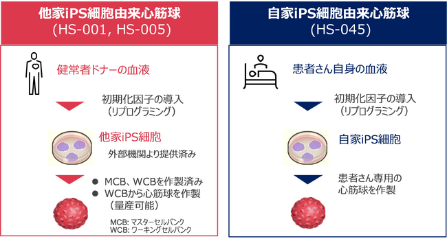 Heartseedの自家iPS細胞を用いた心筋再生医療 AMEDの 「再生医療