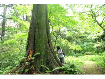 【国立科学博物館】皇居で見つかった生物が累計7,982種に達する～皇居生物相調査（第III期）成果公表～