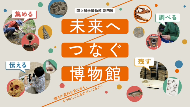 【国立科学博物館】標本・資料を未来へ引き継ぐことの大切さを伝える巡回展を開発　横須賀市自然・人文博物館で巡回展初開催及び報道内覧会実施