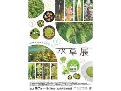 【国立科学博物館　筑波実験植物園】企画展「水草展-水辺を生きる多彩なかたち-」開催および報道内覧会のご案内