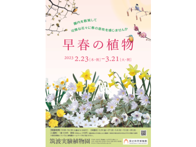 【国立科学博物館】コレクション特別公開「早春の植物」のご案内～園内を散策して、可憐な花々に春の息吹を感じませんか～