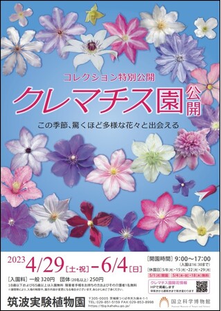 【国立科学博物館　筑波実験植物園】花の色と形の魅惑のコレクション！コレクション特別公開「クレマチス園公開」のご案内