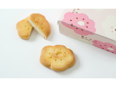 和菓子になった、テキスタイルデザイン