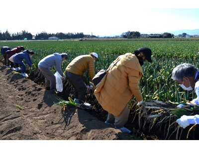 日帰りバスツアー『マイバッグ必須！深谷で野菜づくし！！ 収穫体験＆ビュッフェ＆お買い物ツアー』のご案内