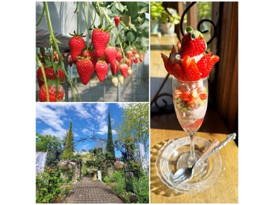 赤い宝石を求めてよくばりTRIP【第２弾】