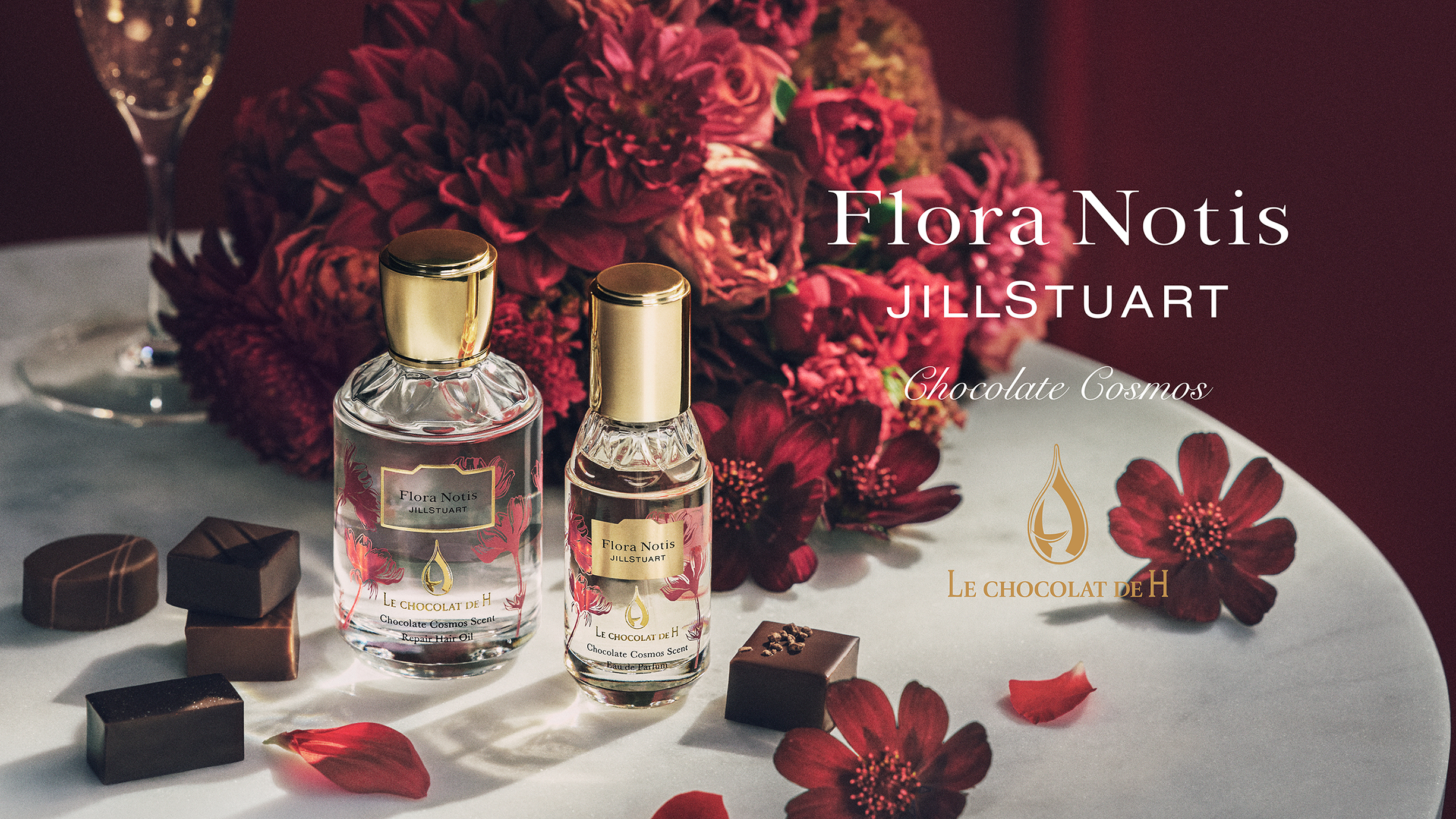 【フローラノーティス　ジルスチュアート】フローラノーティスが贈る、特別なバレンタイン。辻口博啓氏が手がける「ル ショコラ ドゥ アッシュ」とコラボレーションした“チョコレートコスモス”が限定登場。