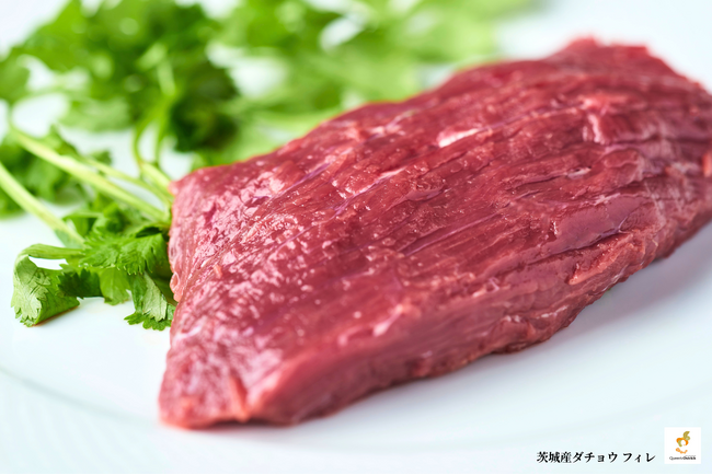 【物価高に逆行！】ダチョウ肉を身近な「新定番」へ！Noblesse Obligeが吉野家グループSPEEDIA社との強力連携により、最大20%OFFの新価格改定