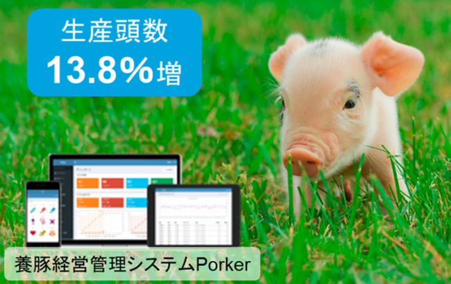 Eco-Porkが参画する農水省スマート農業実証プロジェクト「データ活用型スマート養豚モデルの実証」事業が完了し、生産性13.8％向上の成果を達成